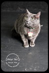 Bessie Mae
