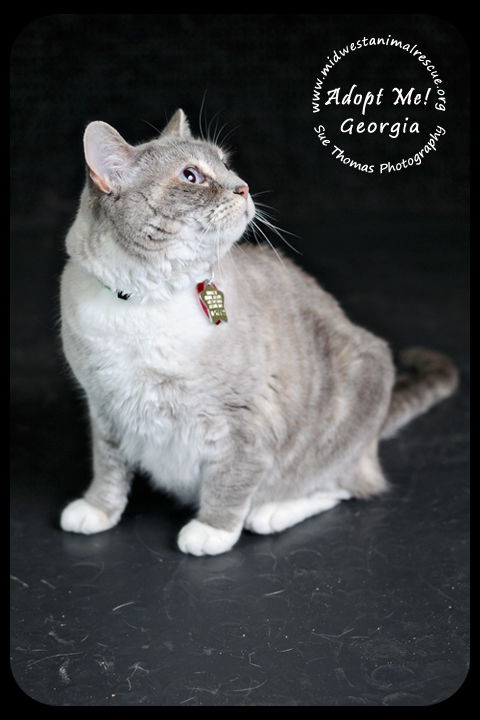 Georgia