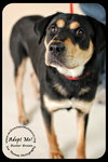 Buster Brown
