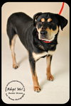 Buster Brown