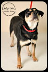 Buster Brown