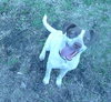 Rylee