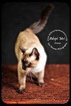 Oona