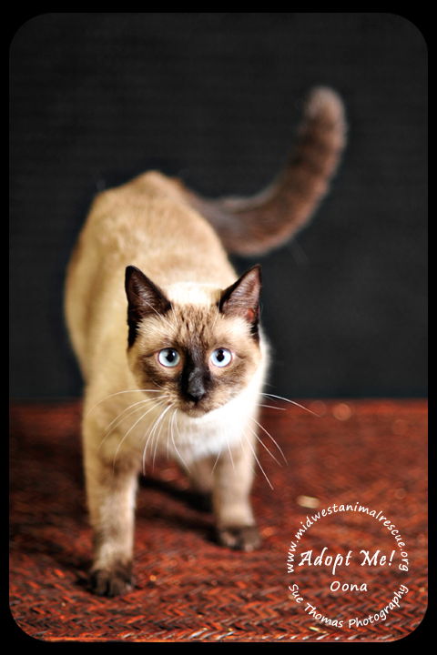 Oona