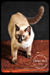 Oona