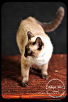 Oona