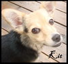 Kit