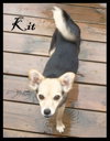 Kit