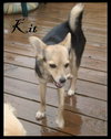 Kit
