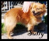 Sully