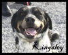 Kingsley
