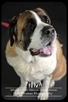 Fiona