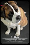 Fiona