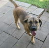 Carlton