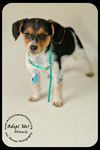 Minnie Puppy
