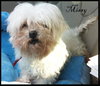 Missy