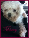 Missy