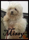 Missy