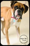 Dexter