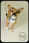 Bugsy