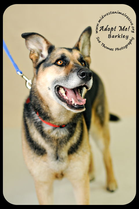 Barkley