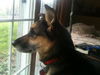 Barkley