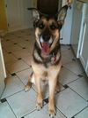 Barkley