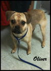 Oliver