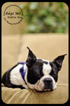 Dottie Roo