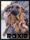 Roxie