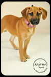 Roxie