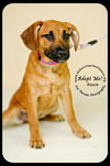 Roxie