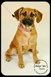 Roxie
