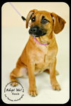Roxie