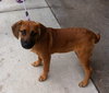 Roxie
