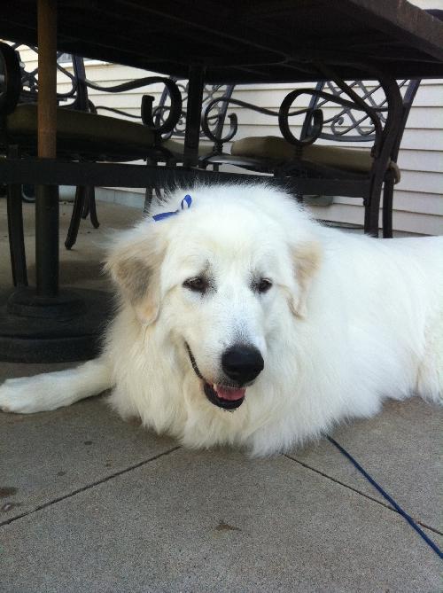 Blanca