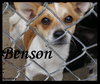 Benson