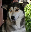 Kiska