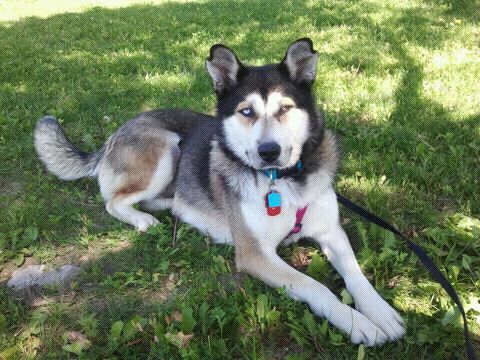 Kiska