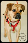 Oliver