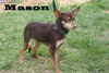 Matson