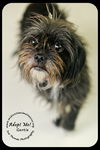 Gertie