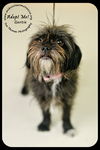 Gertie