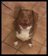Barty