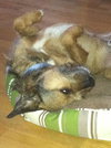 Cheech
