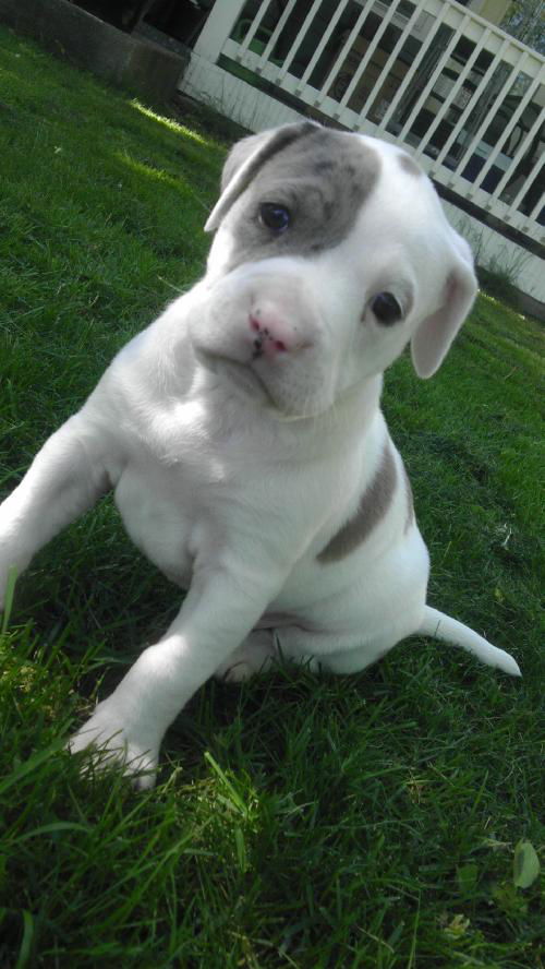 Fiona