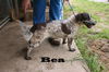 Bea