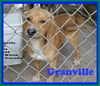 Granville