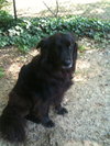 Bitsy
