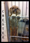Chester